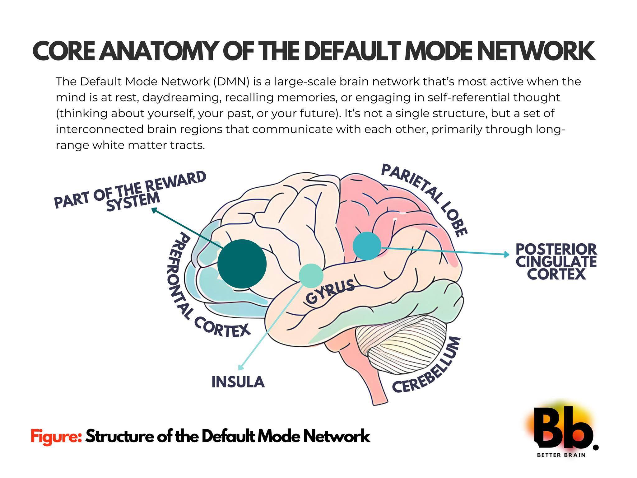 โต๊ะป้าศรี - แปลเป็นไทย จากเรื่อง “DMN“ Facebook : Better Brain ...