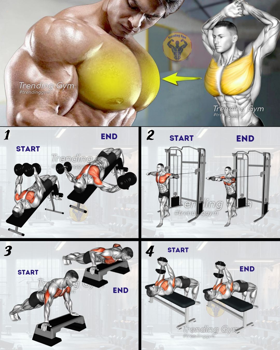 Trending - Top 4 Best Chest Workout Routine - Chest Day 🔥 ① Decline ...