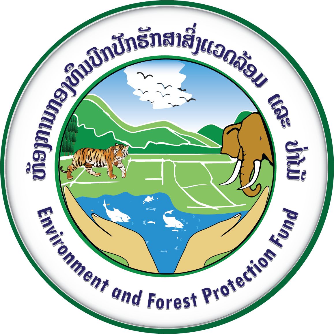 ກອງທຶນປົກປັກຮັກສາສິ່ງແວດລ້ອມ ແລະ ປ່າໄມ້ Environment and Forest ...