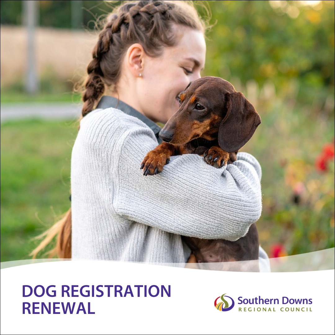 REMINDER // Dog... - Southern Downs Regional Council | Facebook