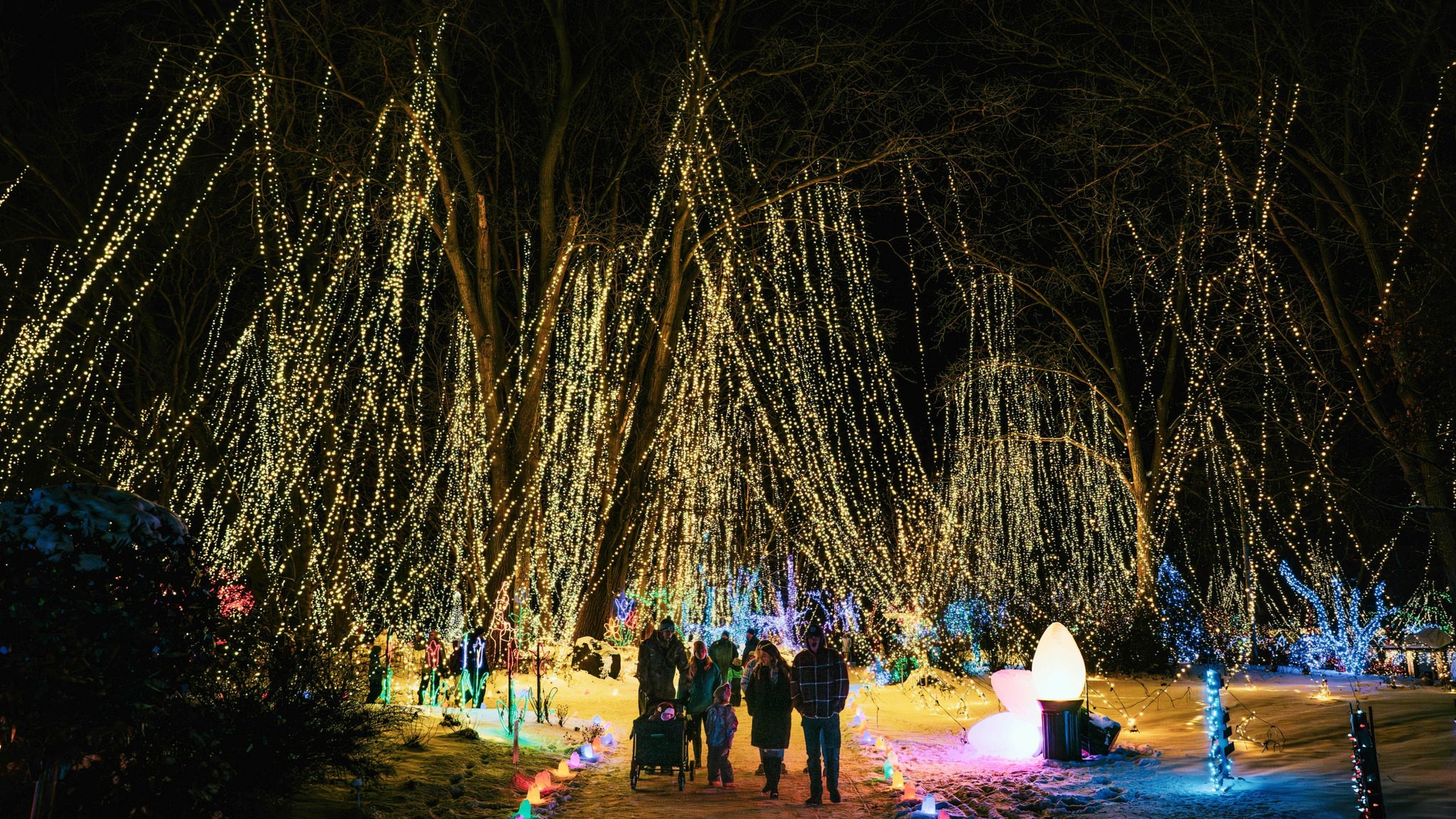 Janesville holiday light show and winter market