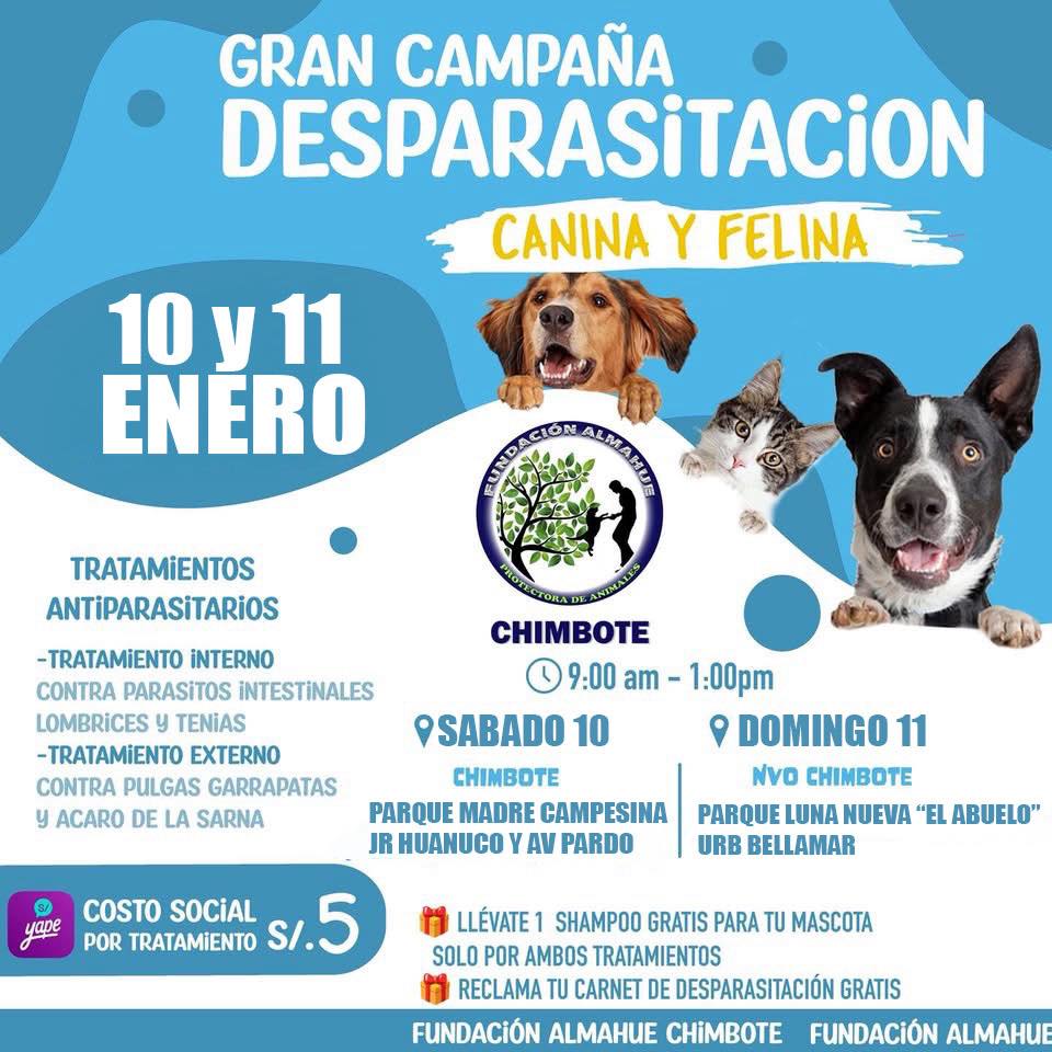 Fundación - 💉CAMPAÑA DE DESPARASITACIÓN PARA PERROS Y GATOS🐕🐈 10 y 11 ...