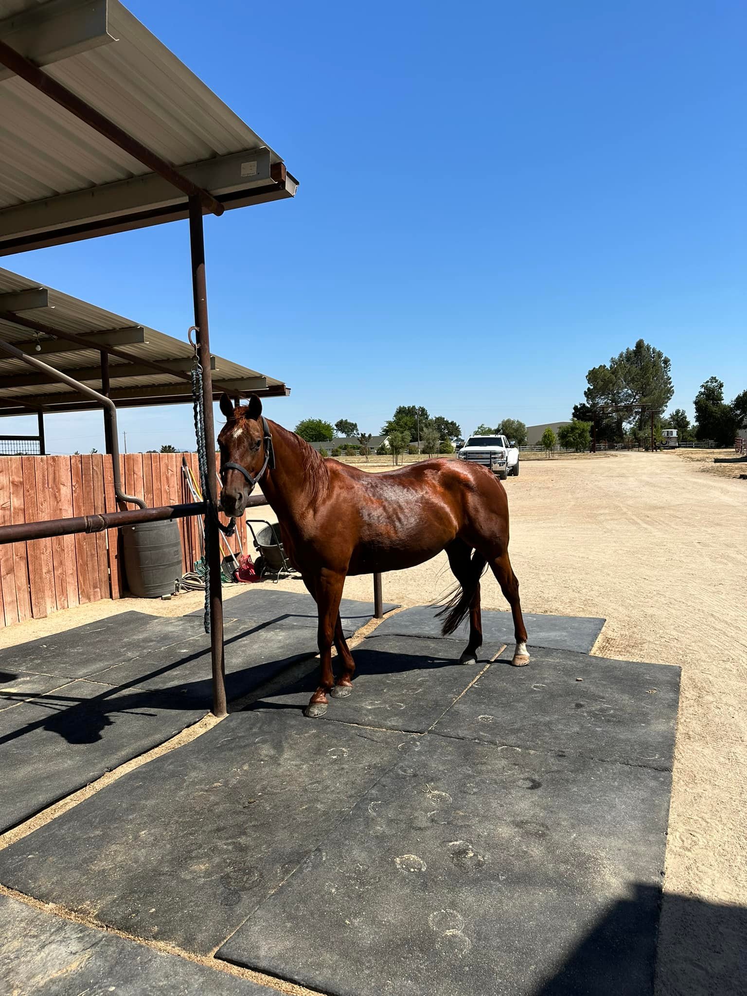 Tripl... - Triple R Ranch Horse Boarding and Training Facility