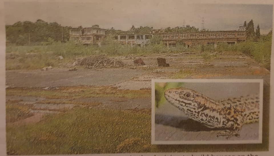 SAVE Huncoat's Wildlife Habitat