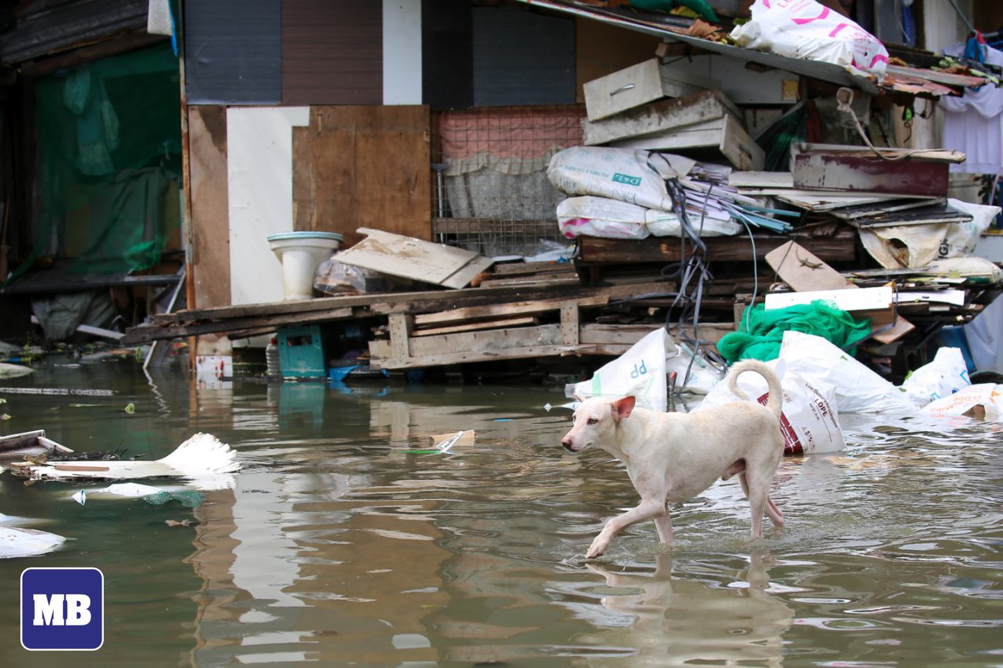 MANILA - LOOK: Residents of Angono, Rizal, wade through knee-to-waist ...