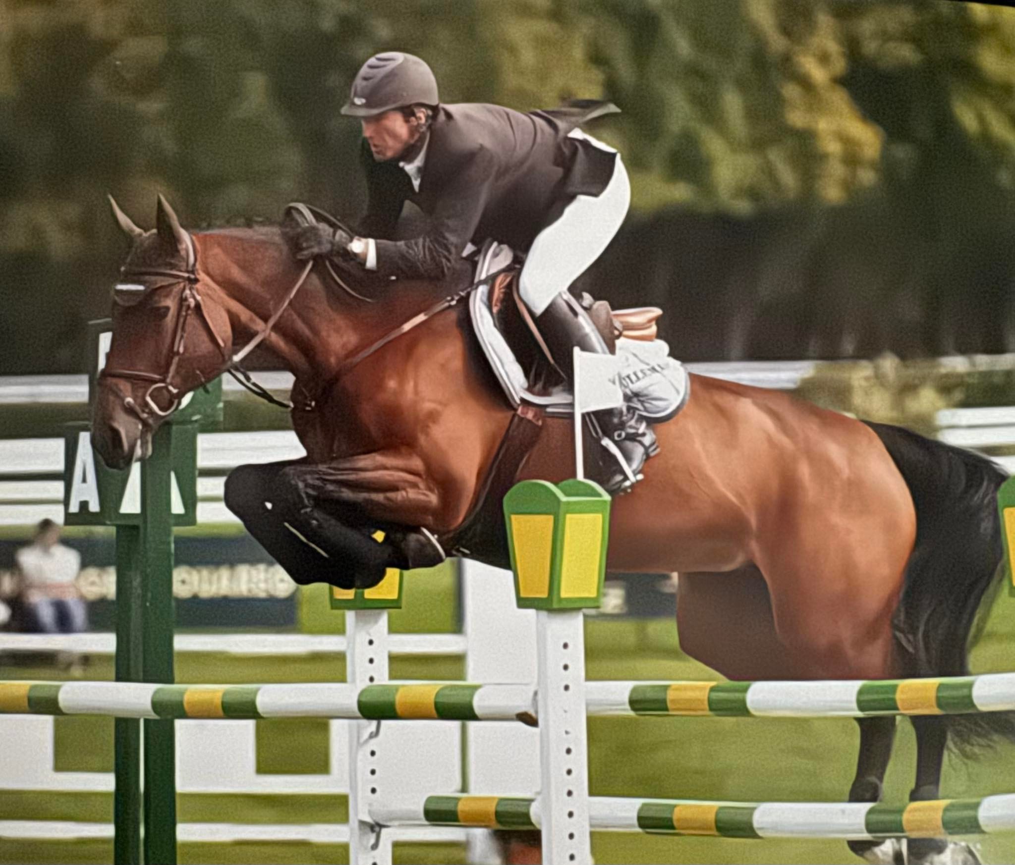 Normandie Terre de Cheval