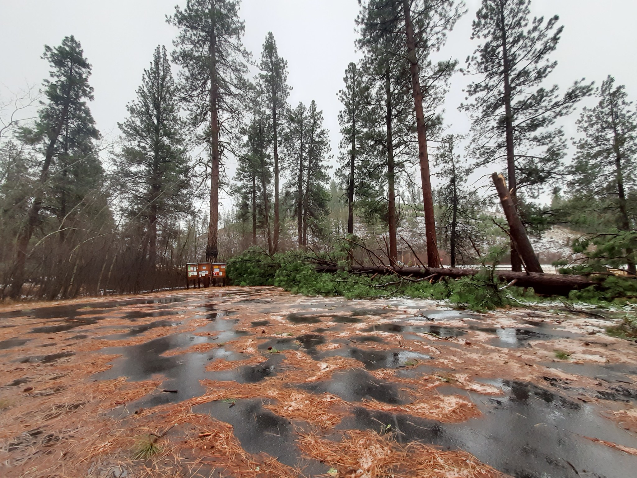 Discover Bitterroot... - Discover Bitterroot National Forest