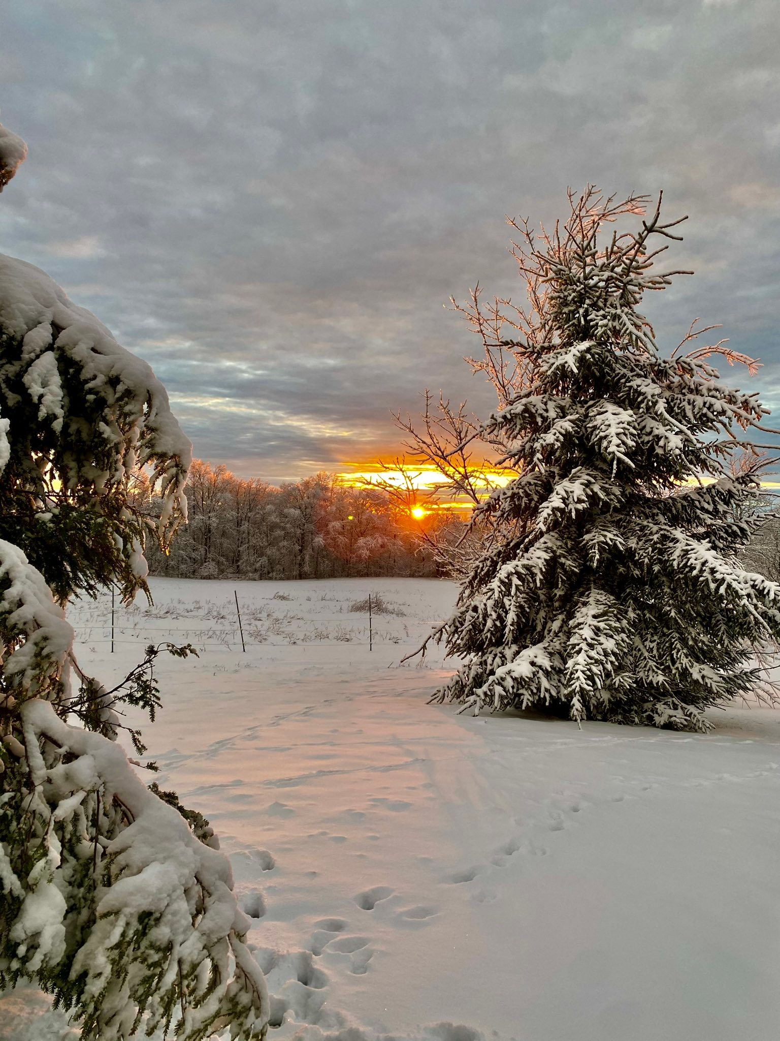 Blueberry Ridge Farm | Fairmont WV