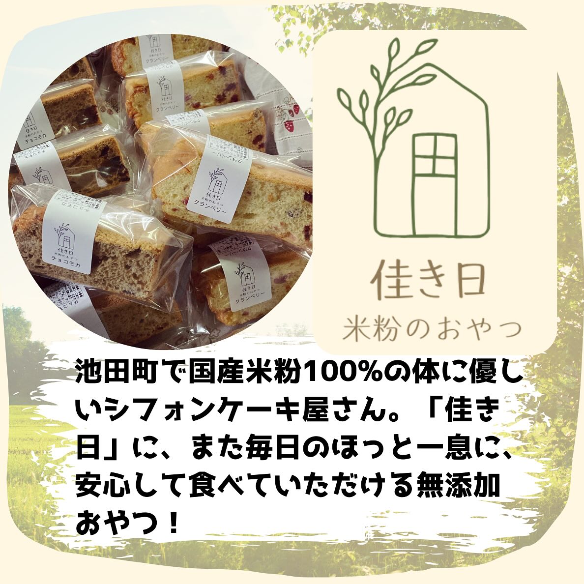 WillyWilly ウイリーウイリー added a new - WillyWilly ウイリー