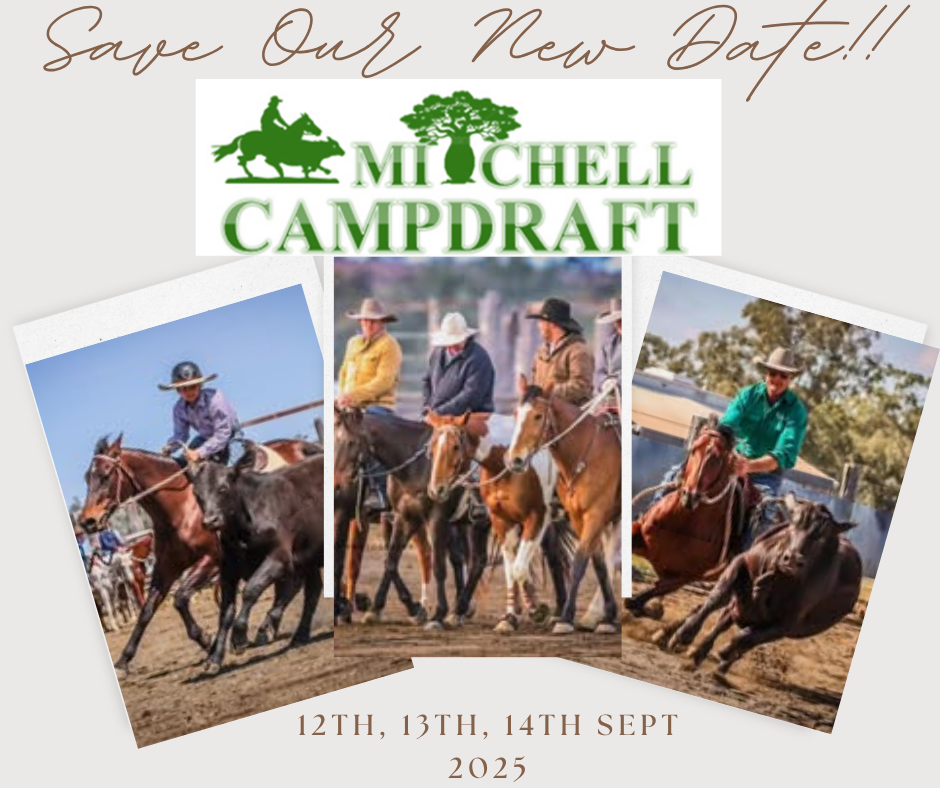 Mitchell Campdraft Association | Mitchell QLD