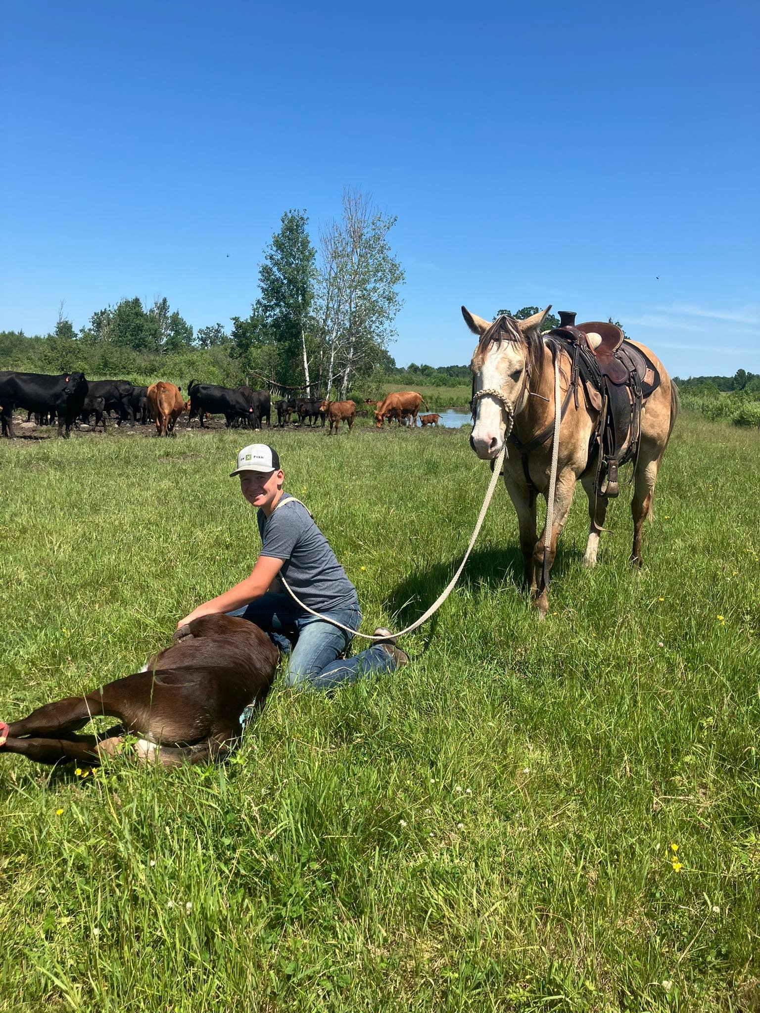 Big Rock Ranch | Hillman MN