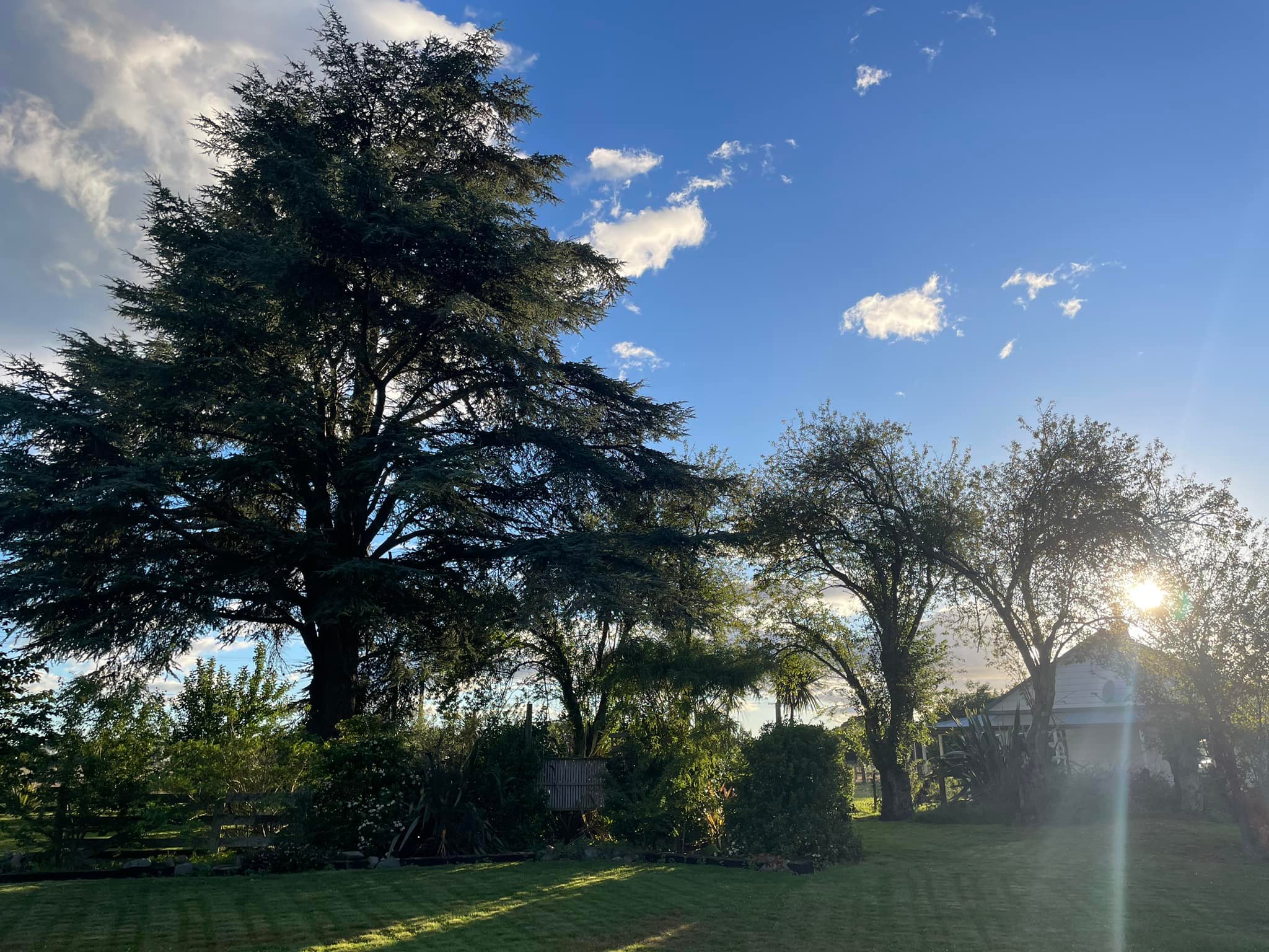 East Arb | Napier