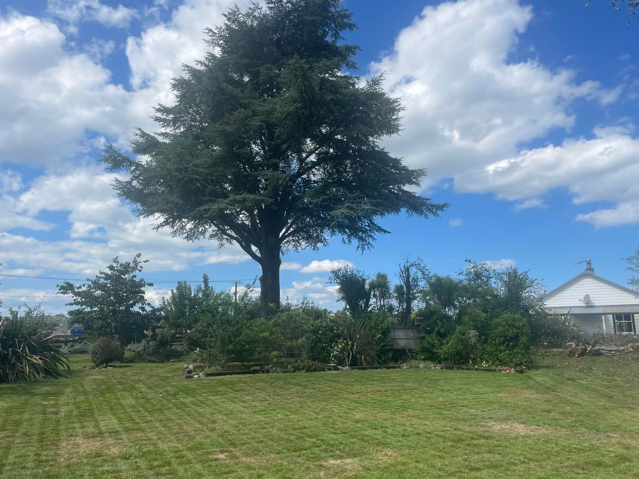East Arb | Napier