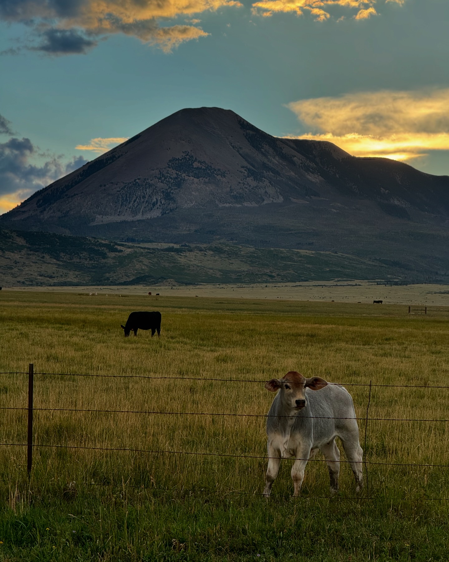 JW Ranch - 🏔️🌅