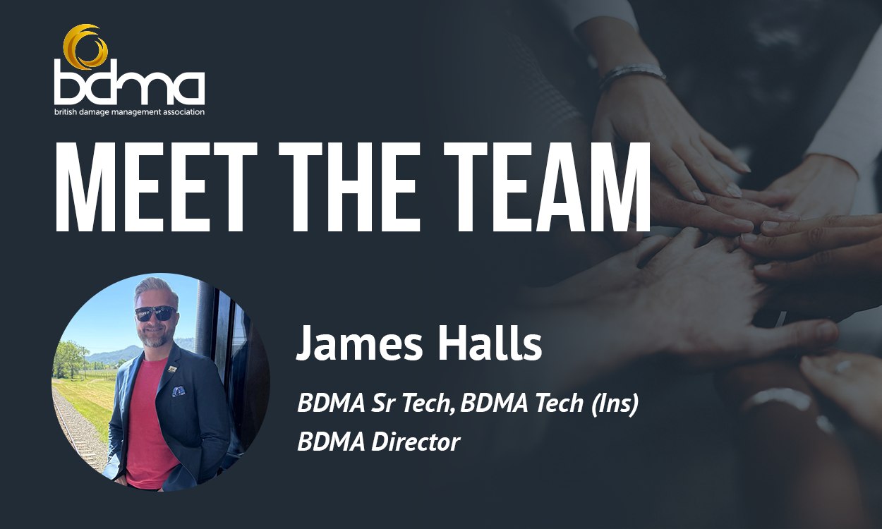 BDMA - ** Meet the BDMA Team ** We would like to spotlight BDMA ...