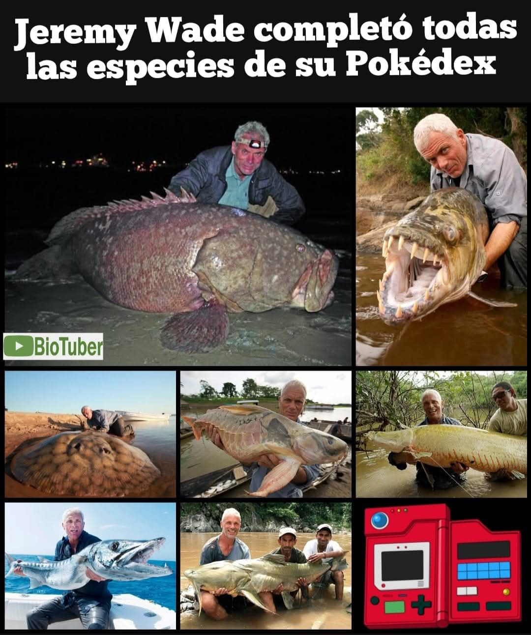 BioTuber - 🐟La razón principal para que terminara la serie 
