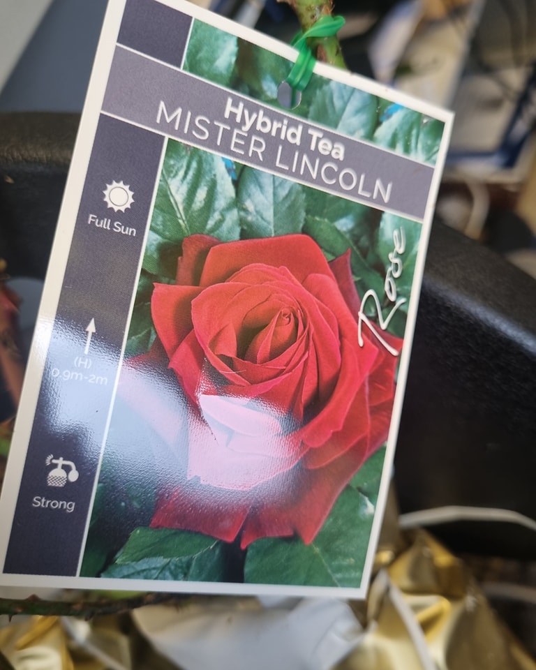 Manjimup Mitre 10 Garden... - Manjimup Mitre 10 Garden Centre