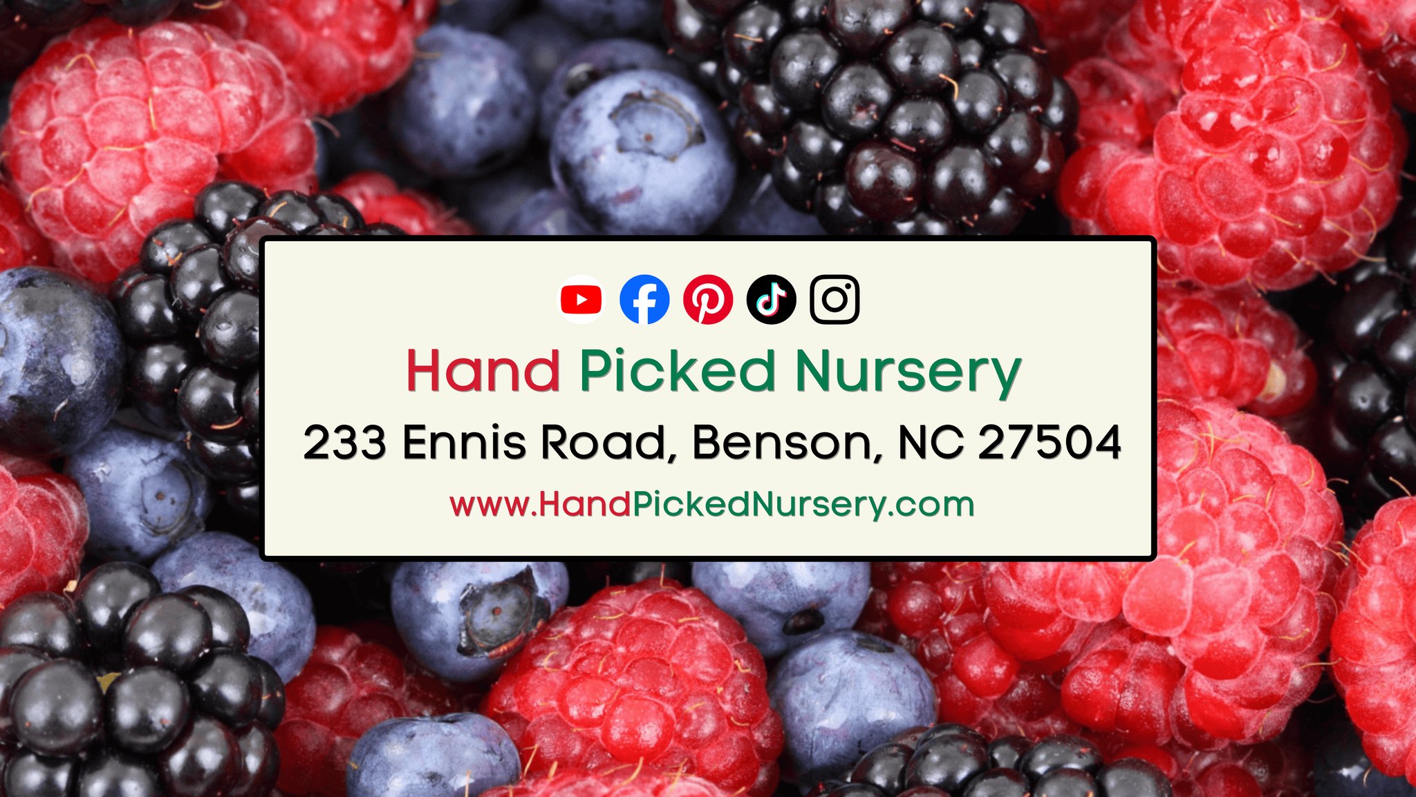 Hand Picked Nursery