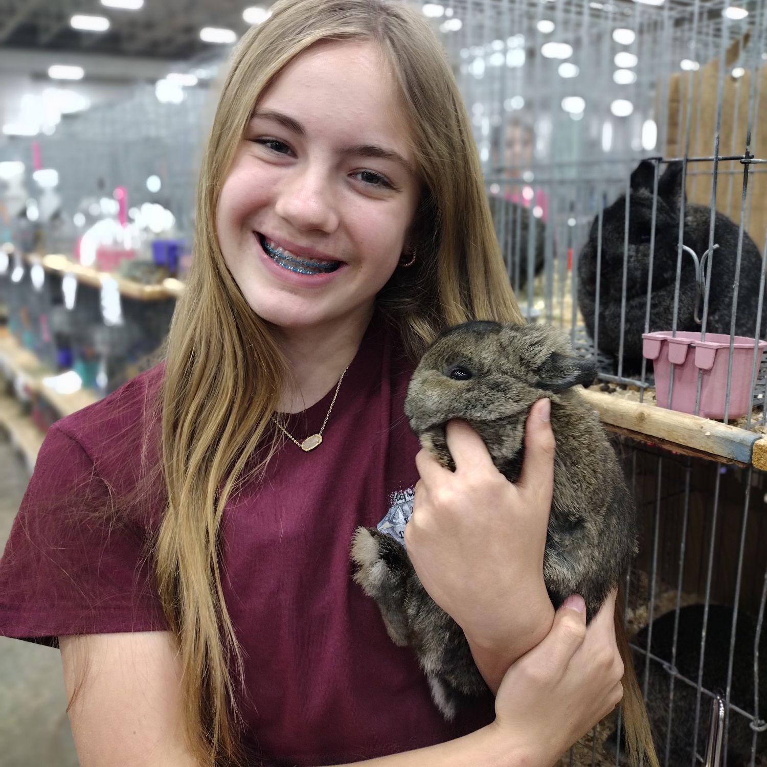 Update: new herd found... - Leahs Netherland Dwarf Bunnies | Facebook
