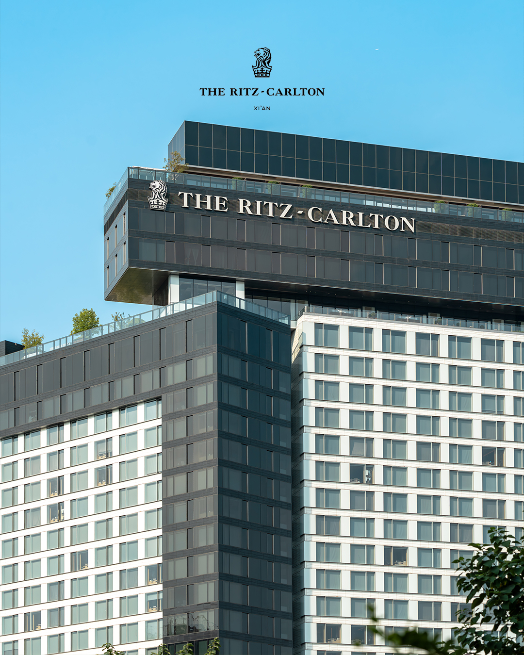 The Ritz-Carlton, - As a part of our commitment to always delight our ...