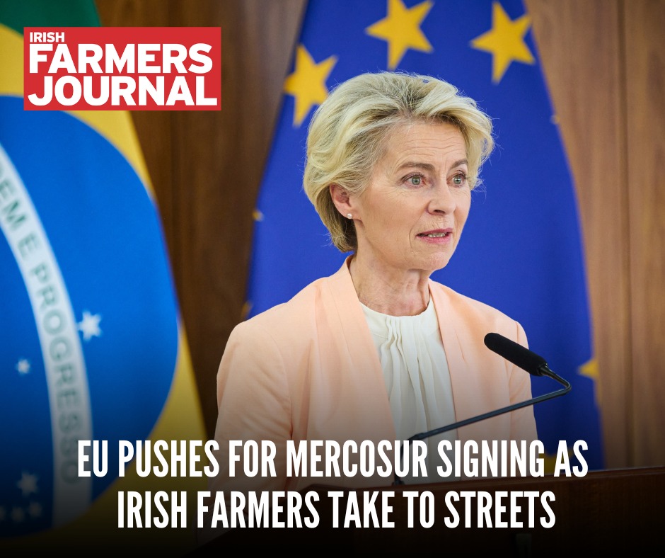 Irish - The Mercosur trade deal is entering its final stages as EU ...
