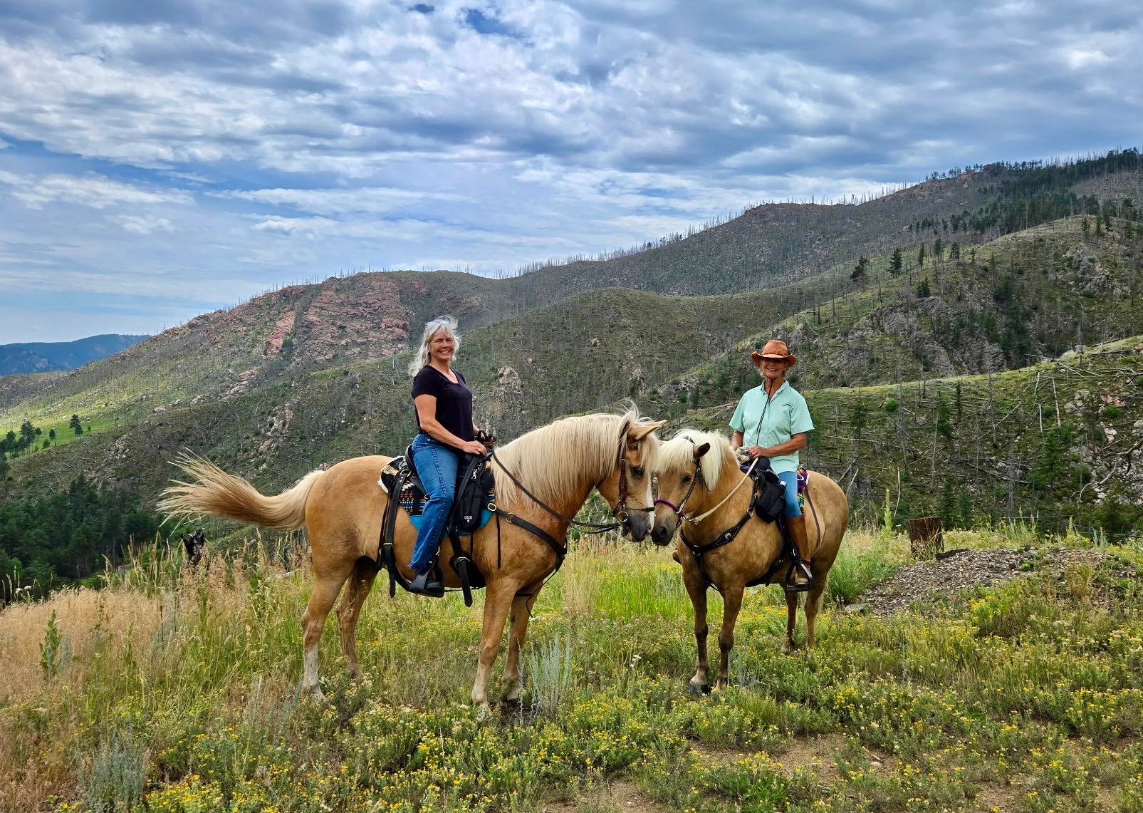 Spirit Dancer Ranch | Fort Collins CO