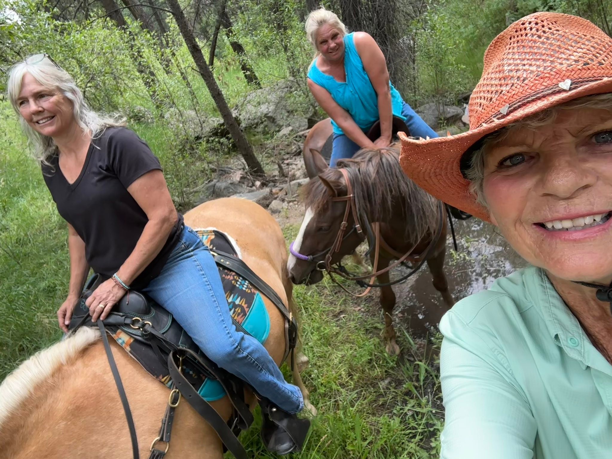Spirit Dancer Ranch | Fort Collins CO
