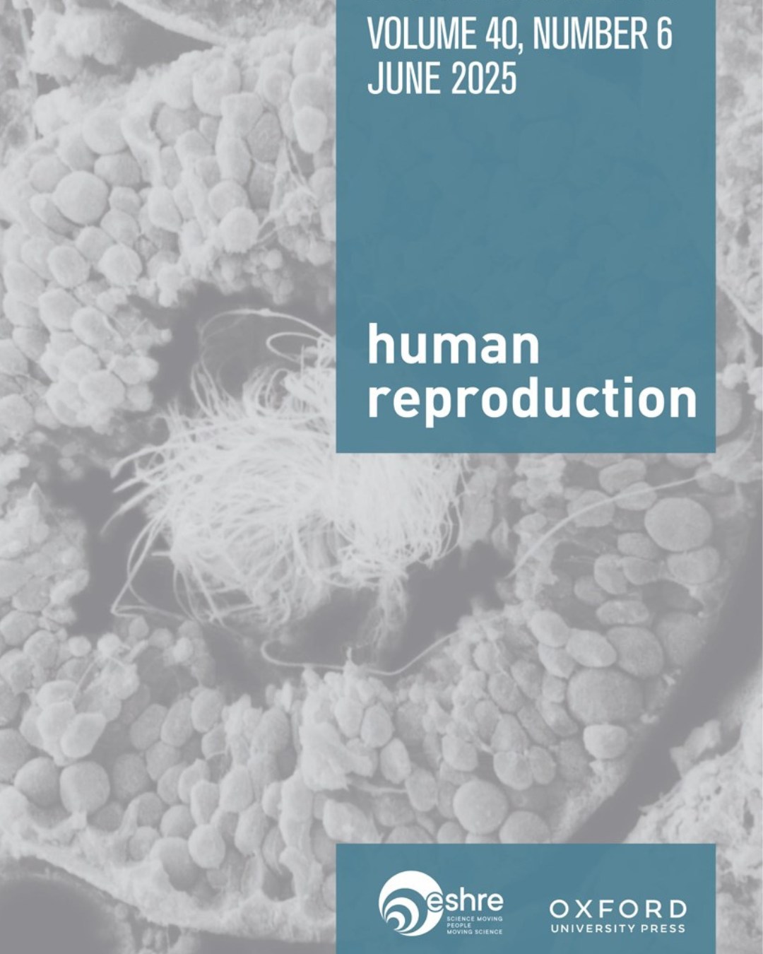 Vitrolife - 💡New research: AI in IVF Embryo Selection Researchers ...