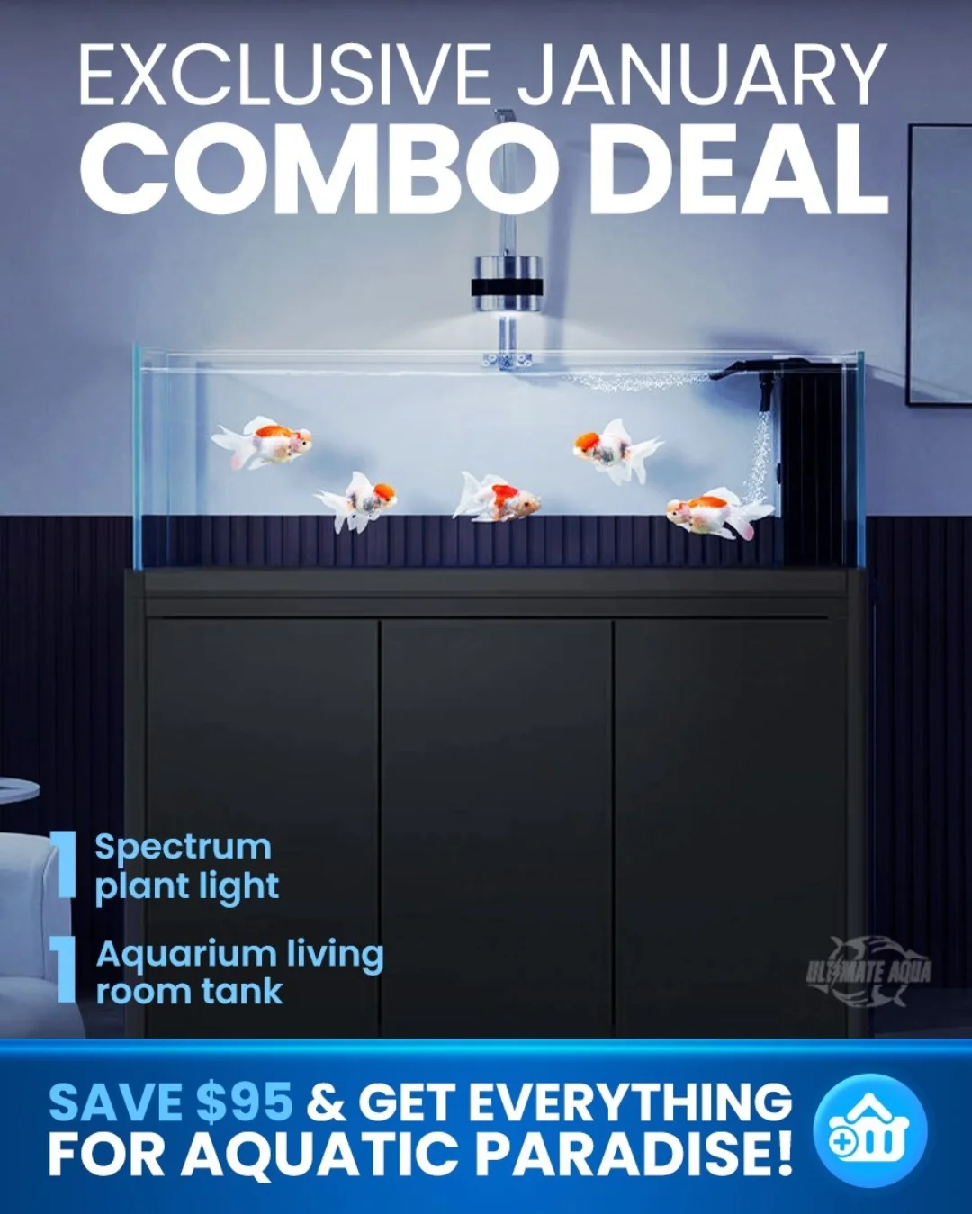 Photo inspiration: Visual Reference: Ultimate Aqua Best Aquarium Accessory Store In Singapore Added A