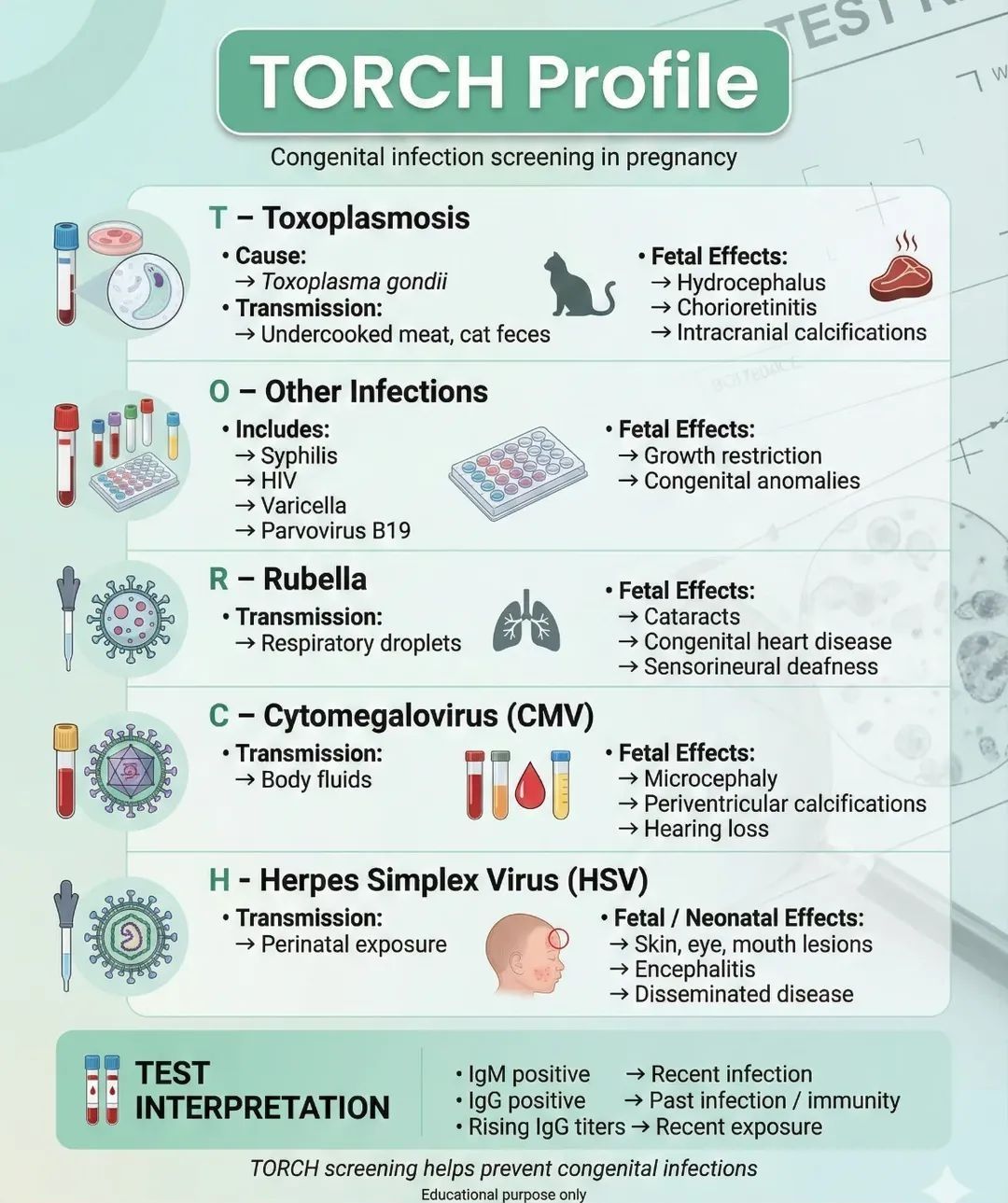 Medical Laboratory Technician | TORCH Profile Explained | Facebook