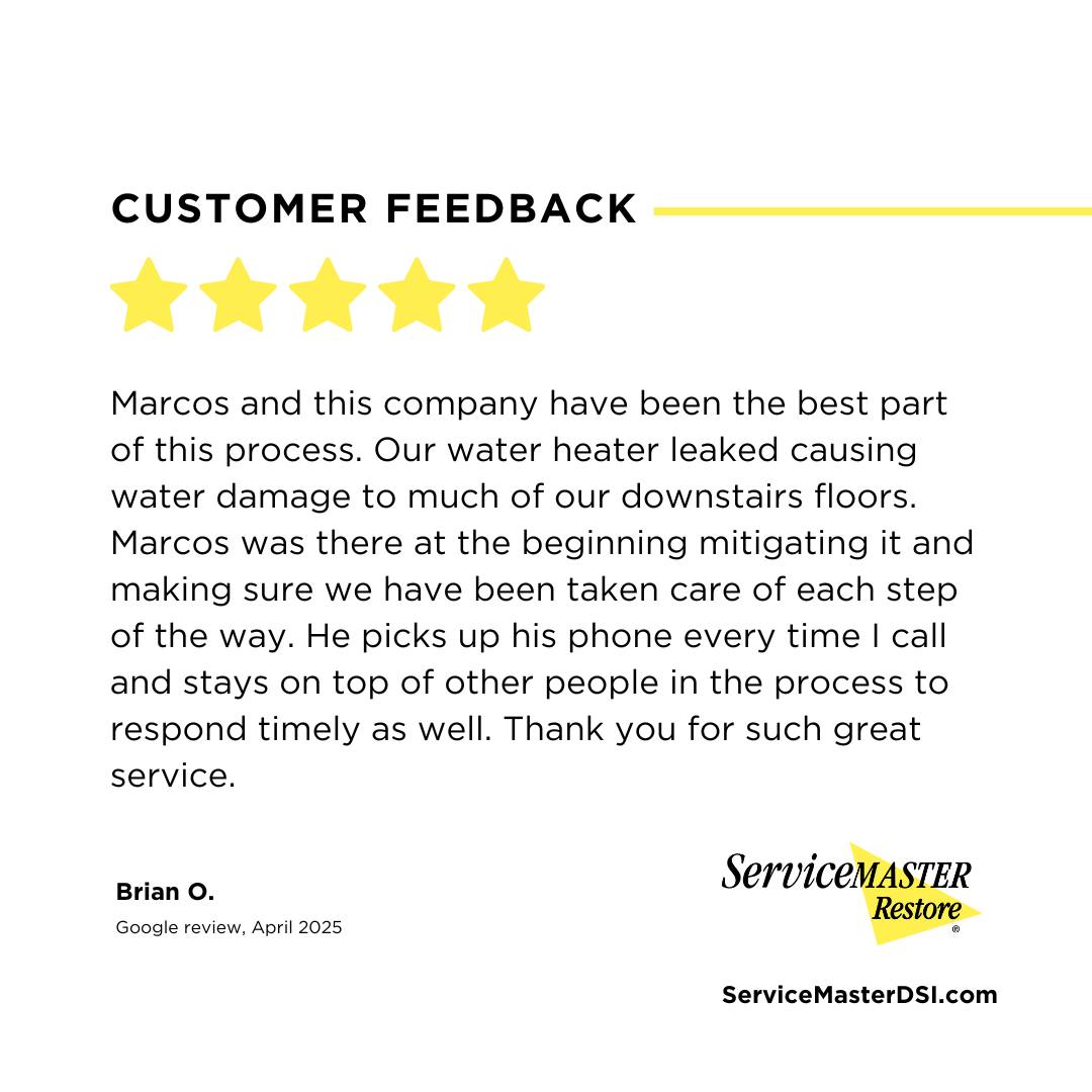 ServiceMaster DSI - Springfield/Branson | Springfield MO