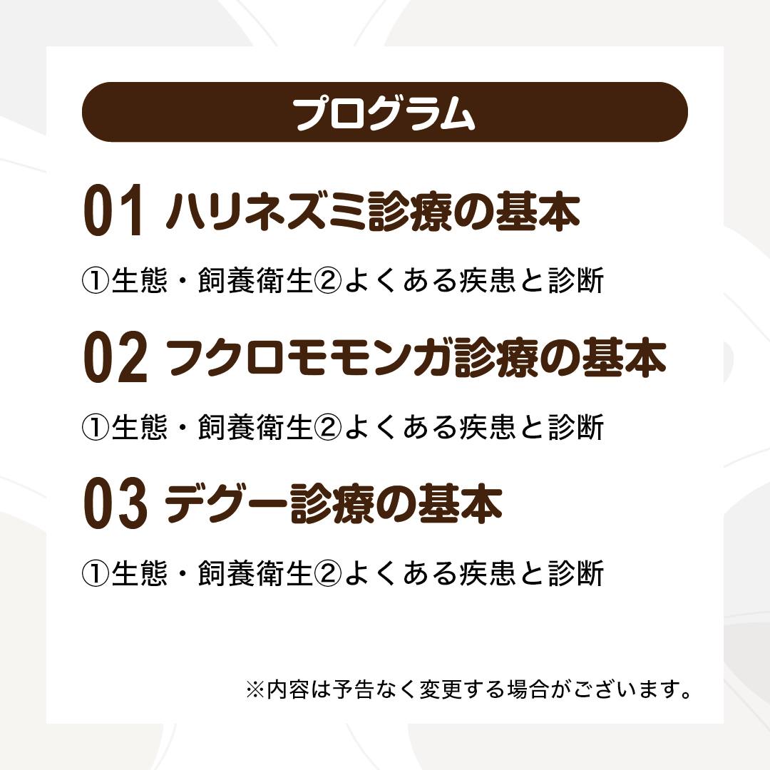 🦔好評配信中！3種のエキゾチックアニマルの基礎知識を学ぶ