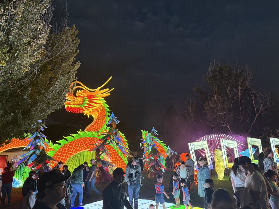 Devon Reese - 🌟🐉 Reno is glowing again! 🐉🌟 The Dragon... | Facebook