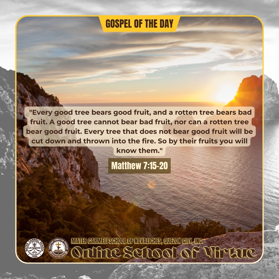 Mater - June 25, 2025 | Wednesday Mt. 7:15-20 Jesus said to his ...