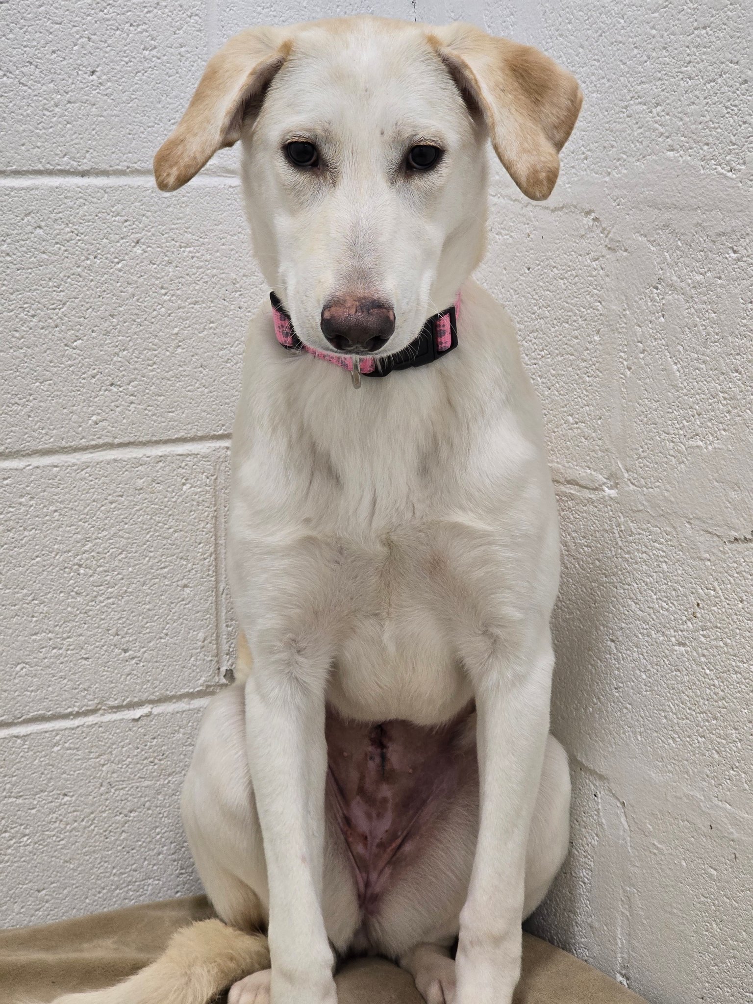 Humane - This is a very scared,and very sad soul ! Wanda hides in the ...