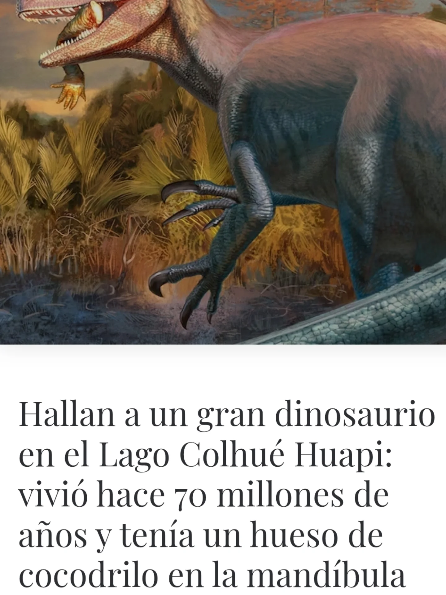 LRF - El carnívoro gigante Joaquinraptor casali fue encontrado por ...