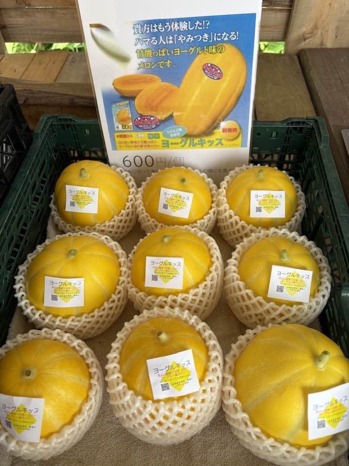 ごちそう野菜の楽農や〜。 直売所に、ヨーグルキッスメロン登場