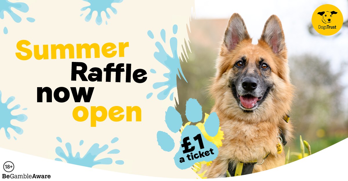 Dogs Trust