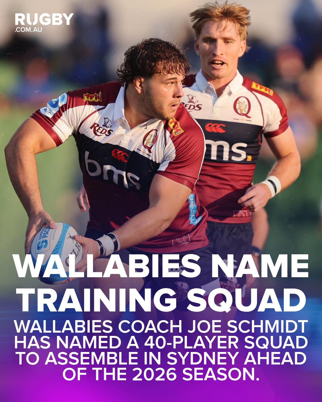 rugby.com.au - Queensland Reds prop Massimo De Lutiis is... | Facebook