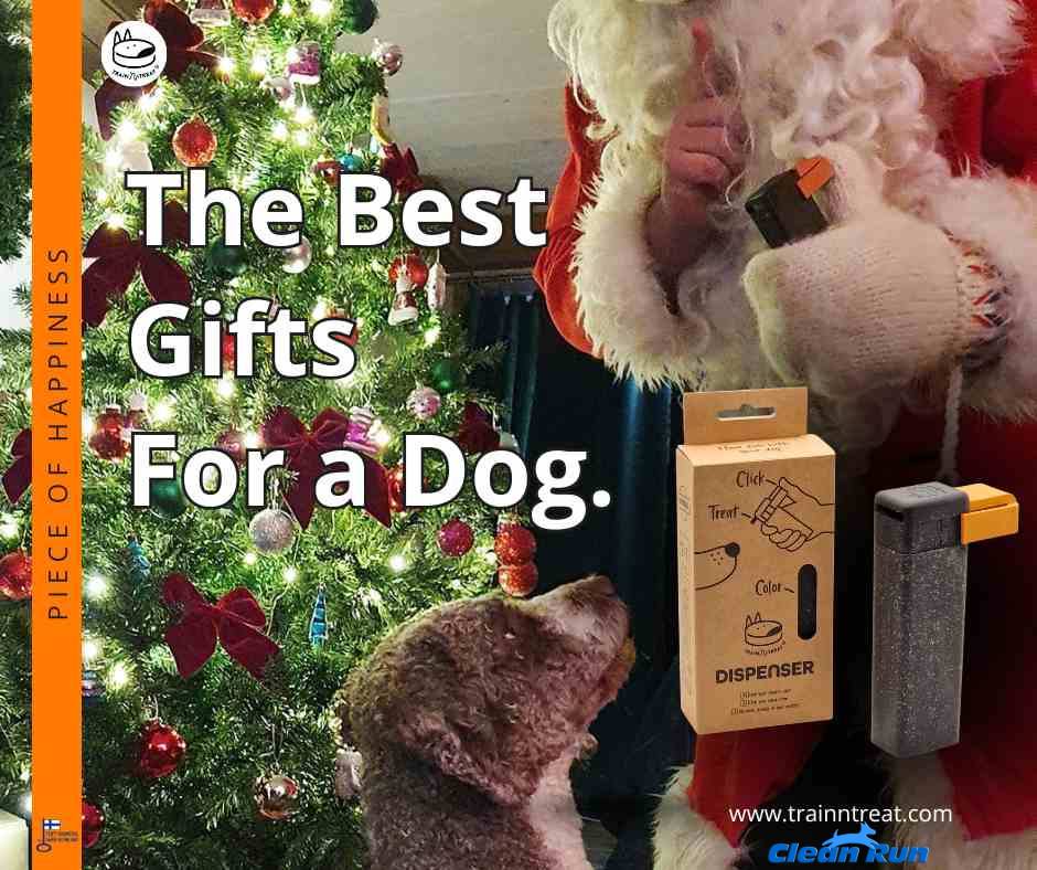Clean Run - The Train'N'Treat Dog Treat Dispenser combines... | Facebook