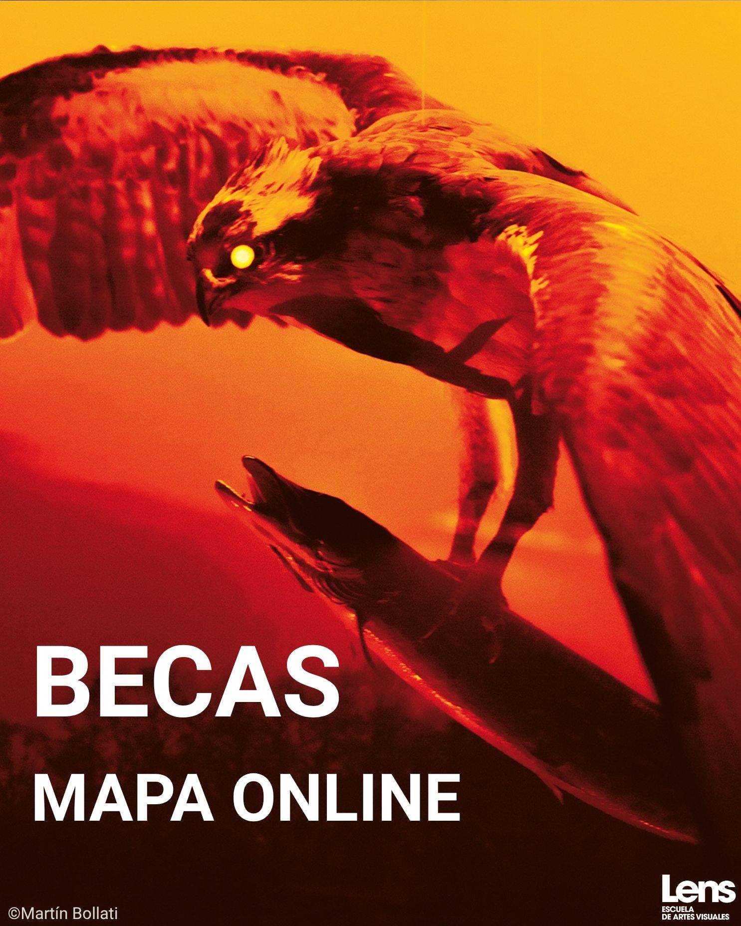 Lens - 🎓 ¡Estrenamos 9 #becas MAPA ONLINE 2026! Este año lanzamos un ...