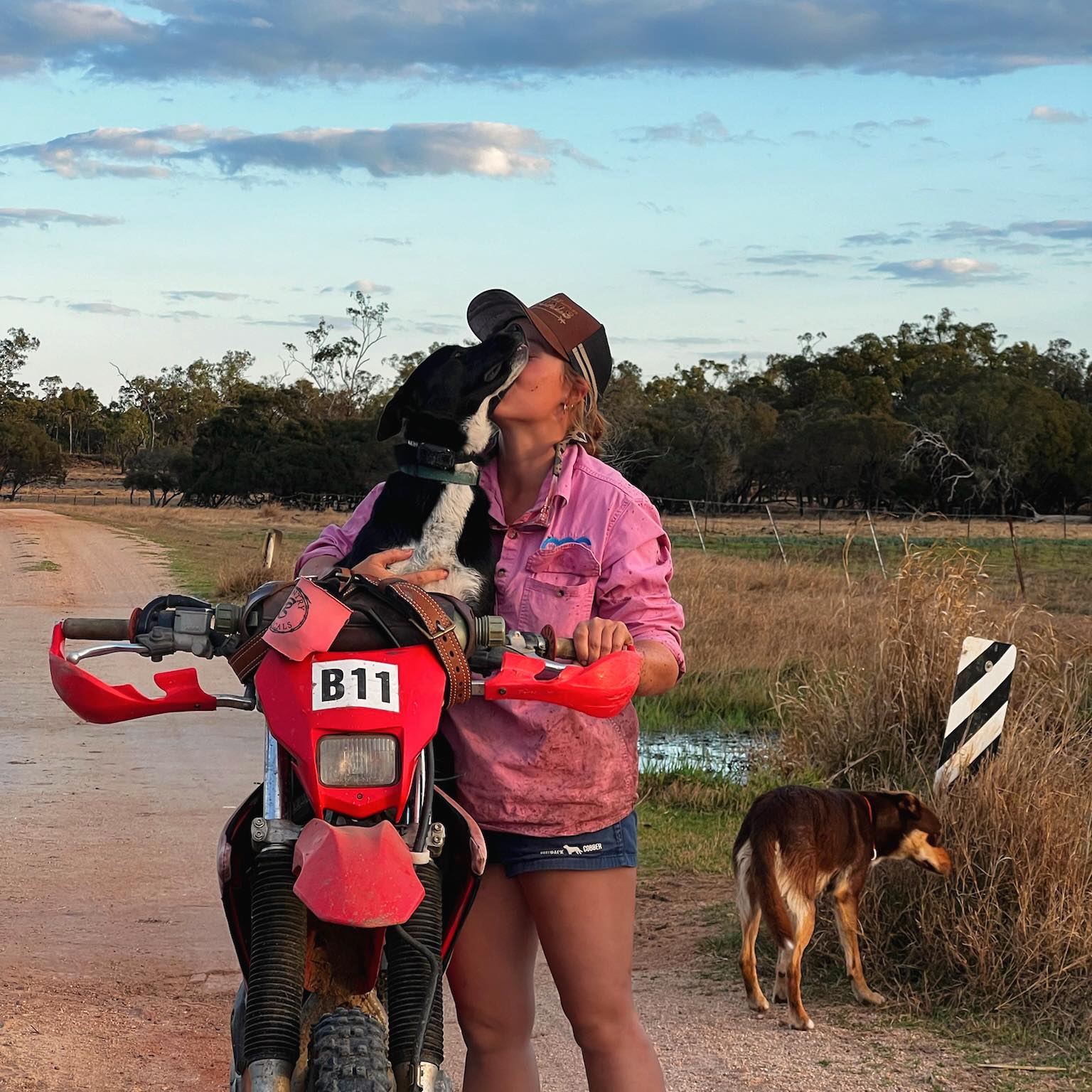 Travelling with horses Australia | Hey guys me and a friend are going ...