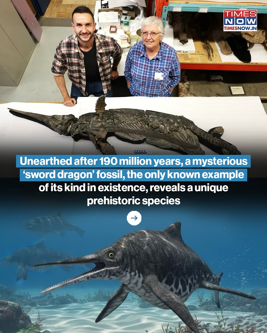 TIMES NOW - A remarkable discovery on Britain’s Dorset... | Facebook