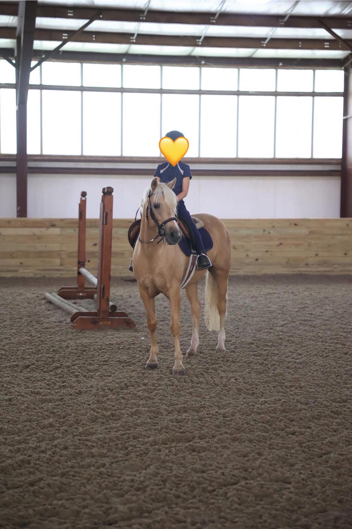 Kickapoo Ponies Texas added a new... - Kickapoo Ponies Texas