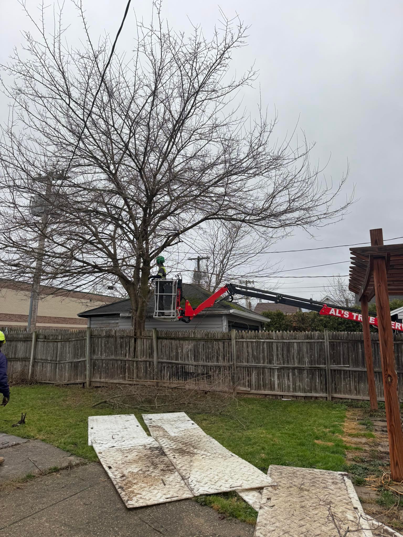Al's Tree Service | Tonawanda NY