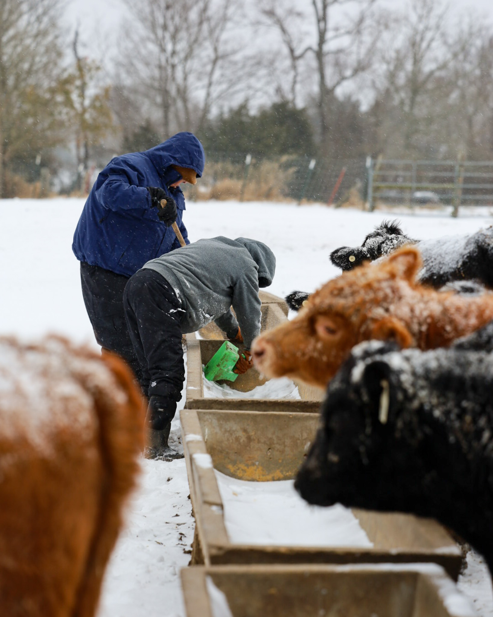 The Diffendal Farm Stand: Produce, Eggs and Meats | Westminster MD
