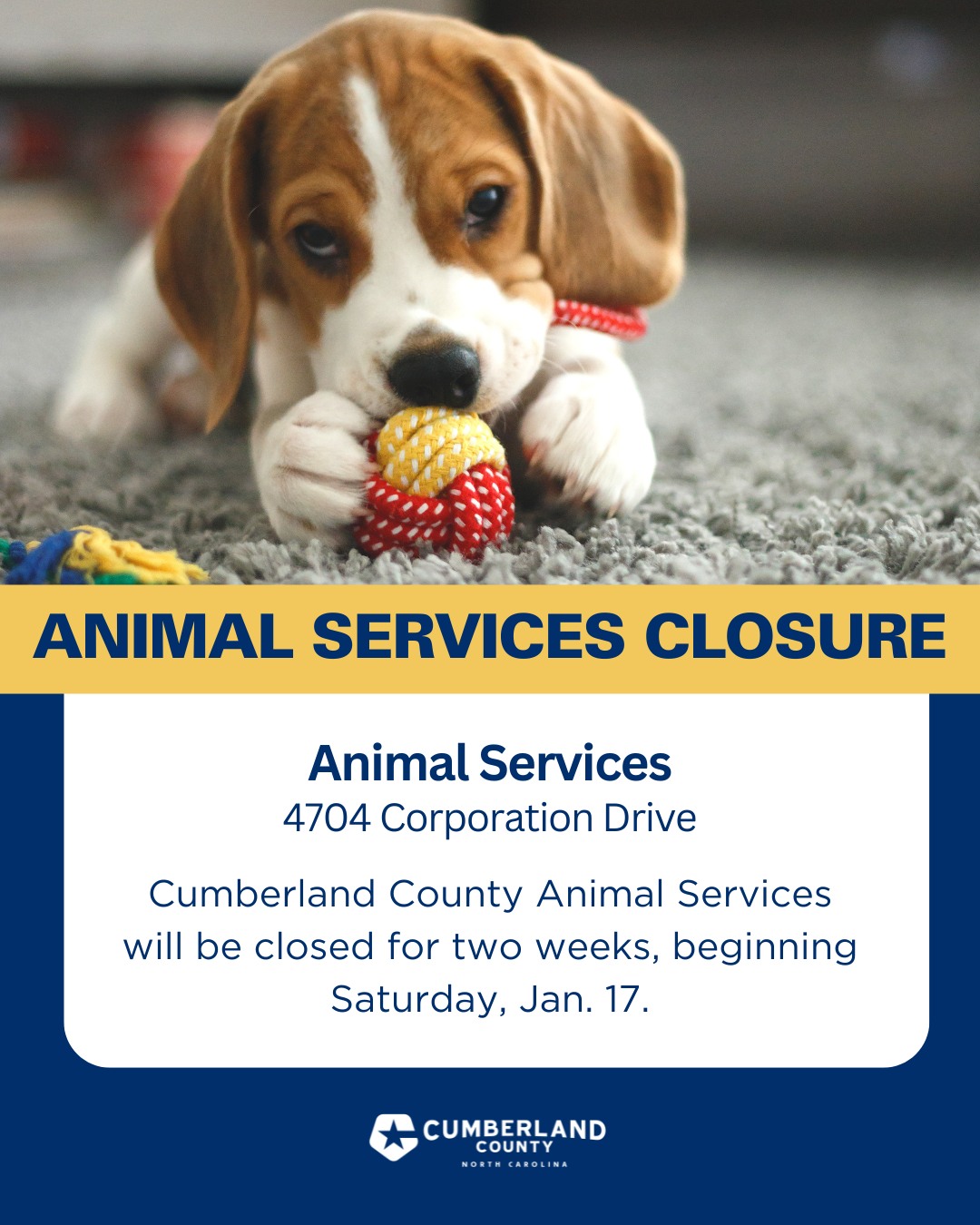 Friends of... - Friends of Cumberland County AnimalS