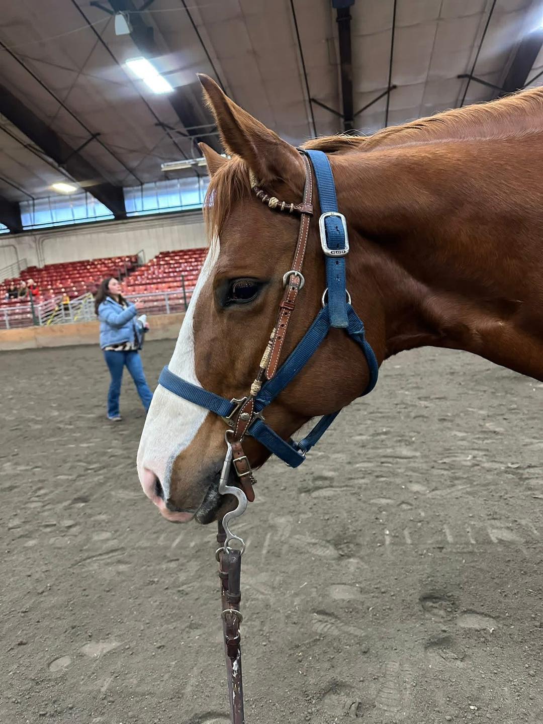 Washin... - Washington State Quarter Horse Association (WSQHA)