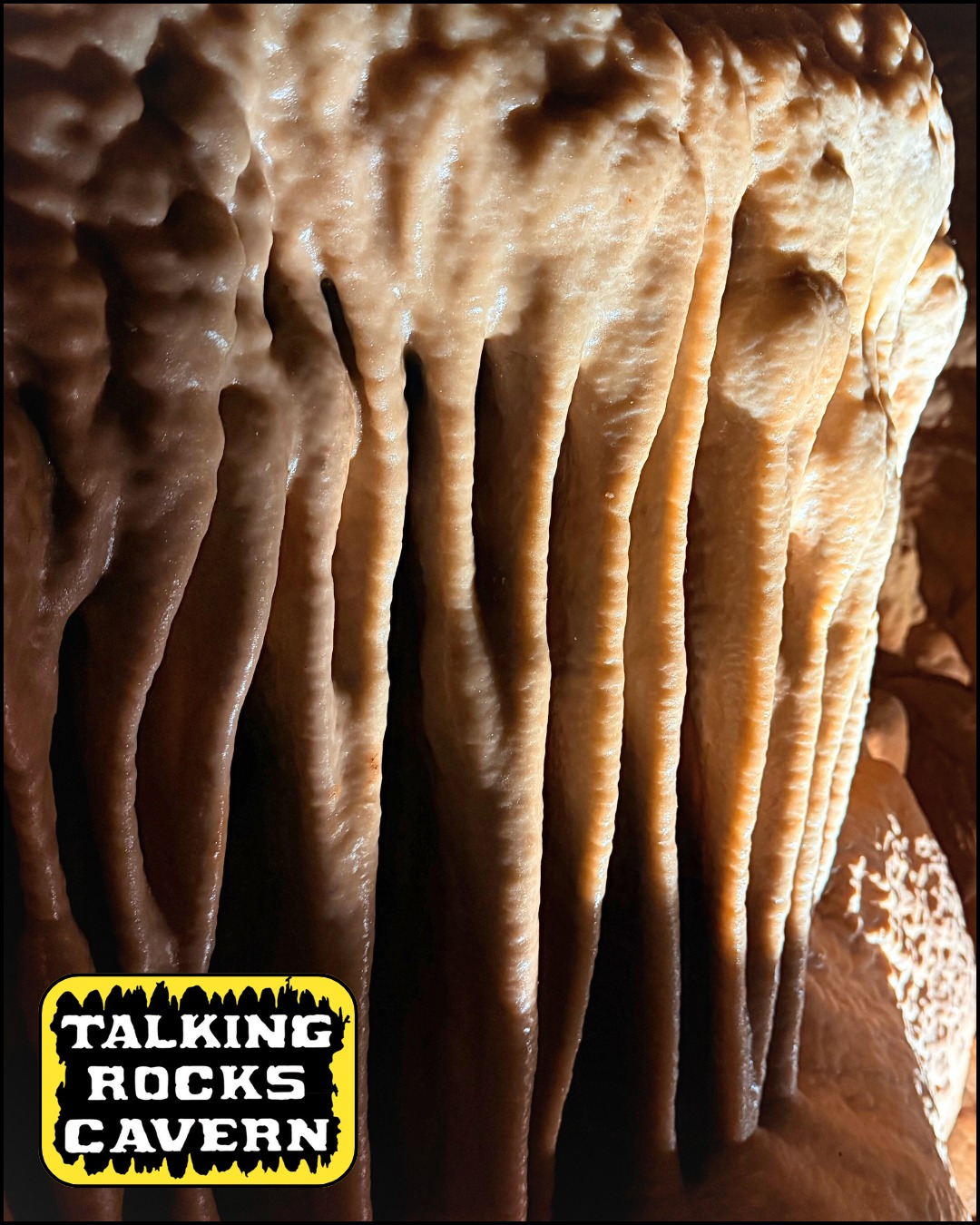 Talking - Thousands of years in the making…just waiting for you to see ...