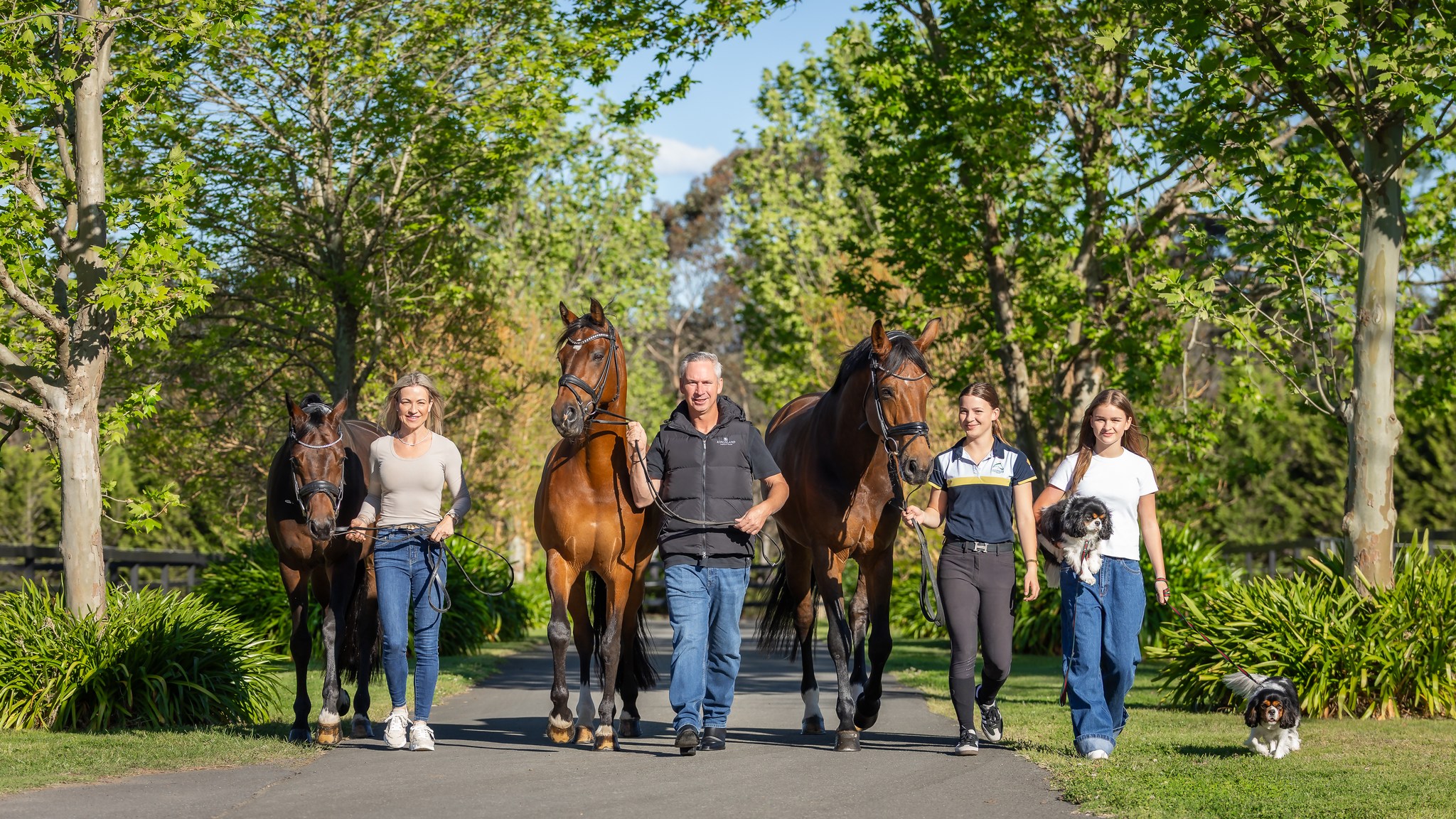 Equine International... - Equine International Air Freight